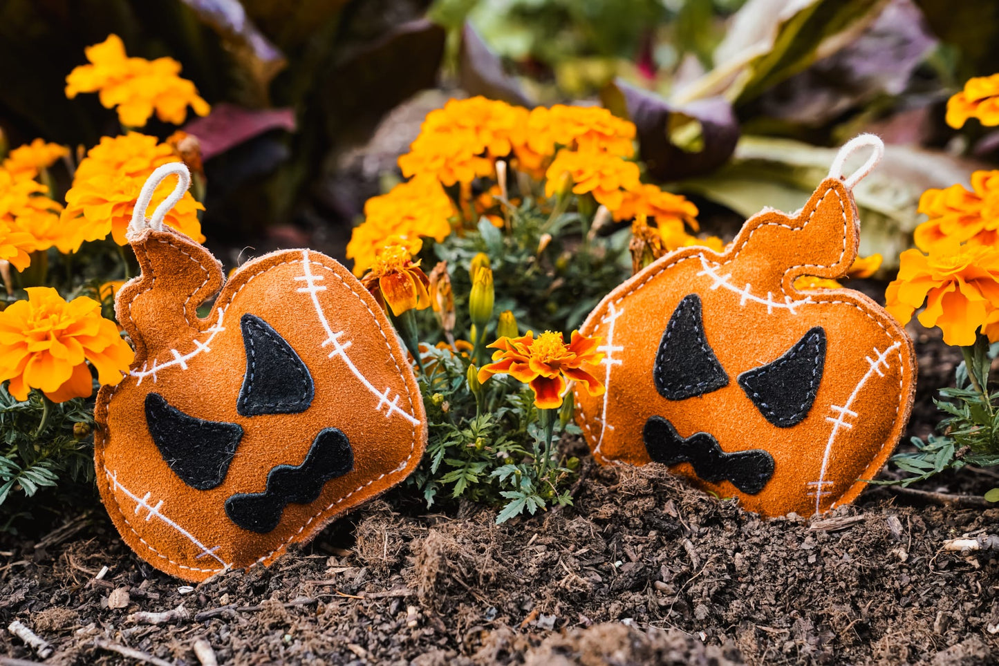 Jack The Lad Lantern (Free Postage)