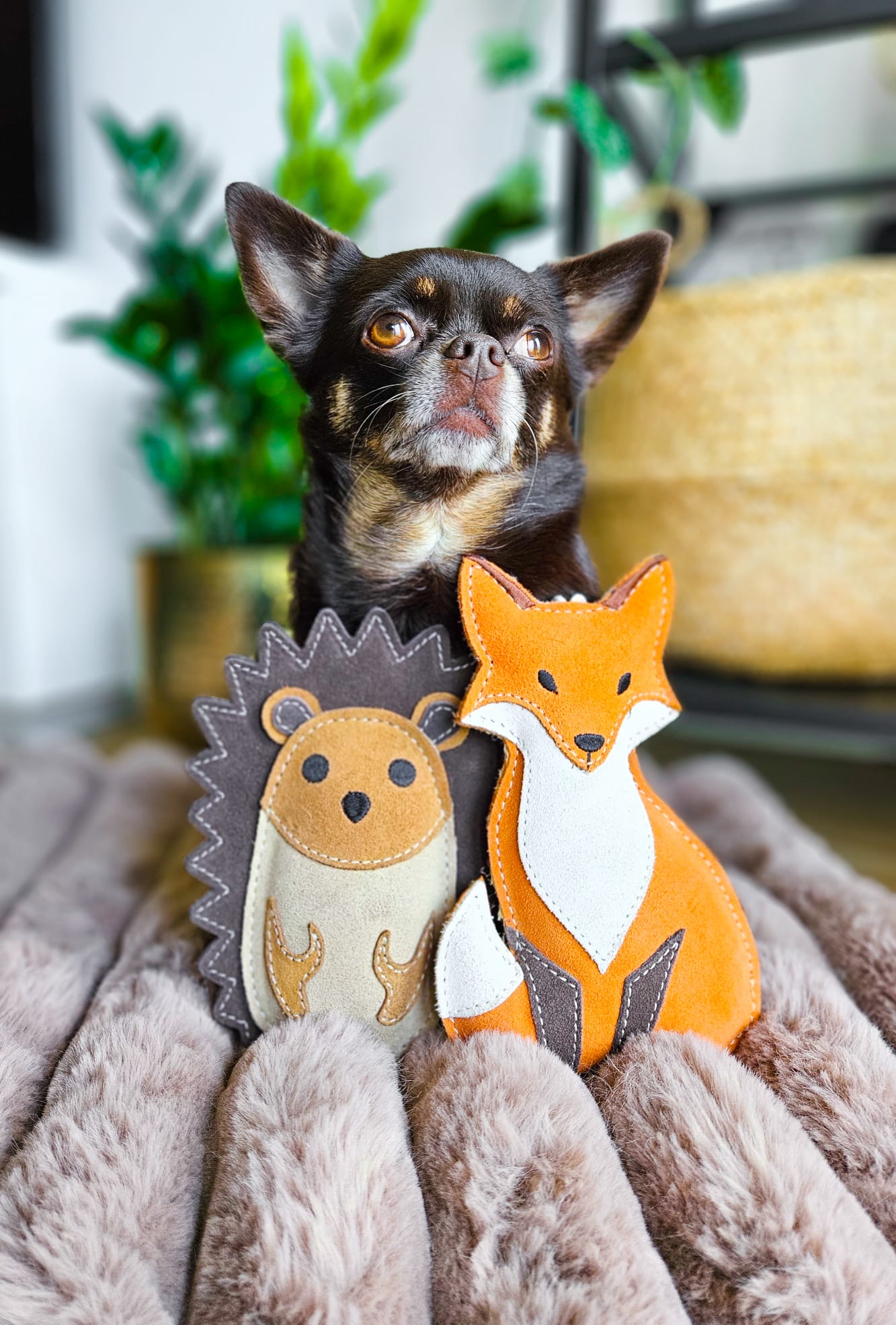 Bramble The Hedgehog (Cat Nip Infused)