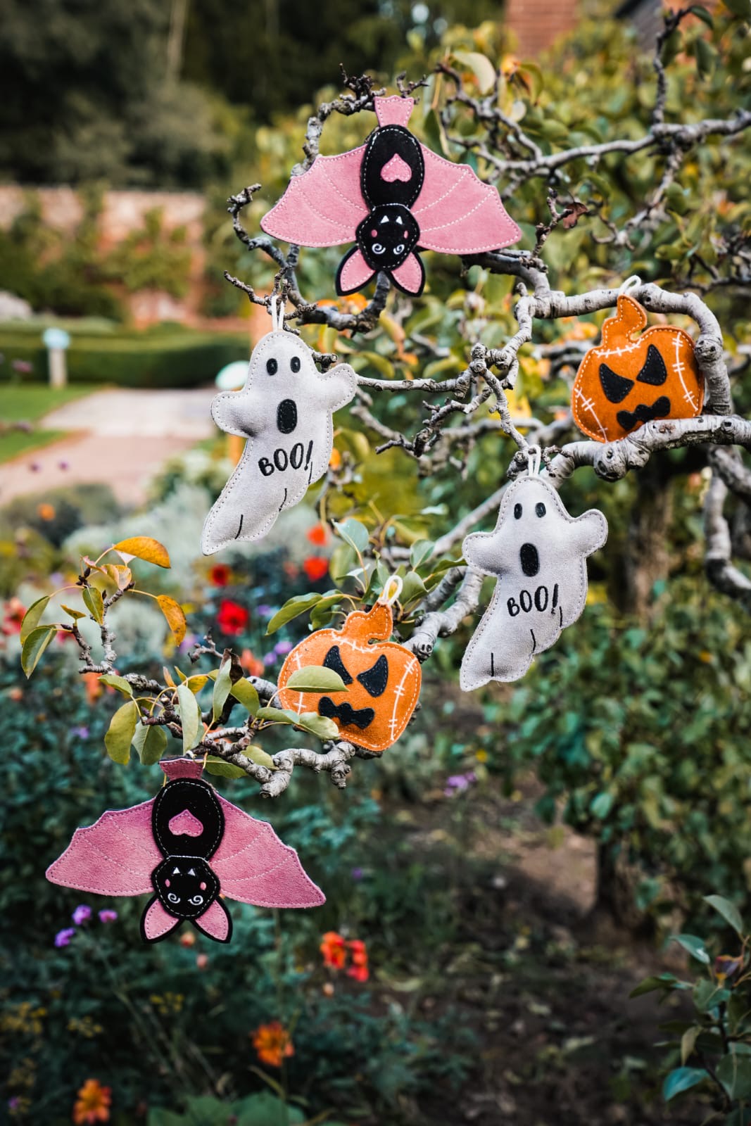 Boo Paul (Free Postage)