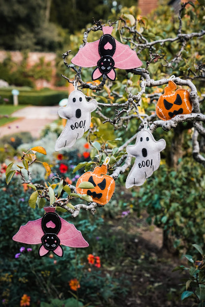 Boo Paul (Free Postage)