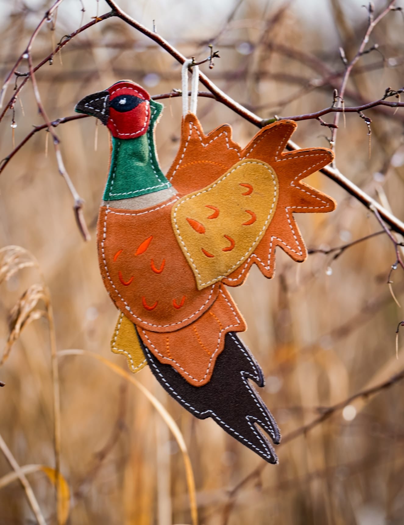 Bracken The Pheasant