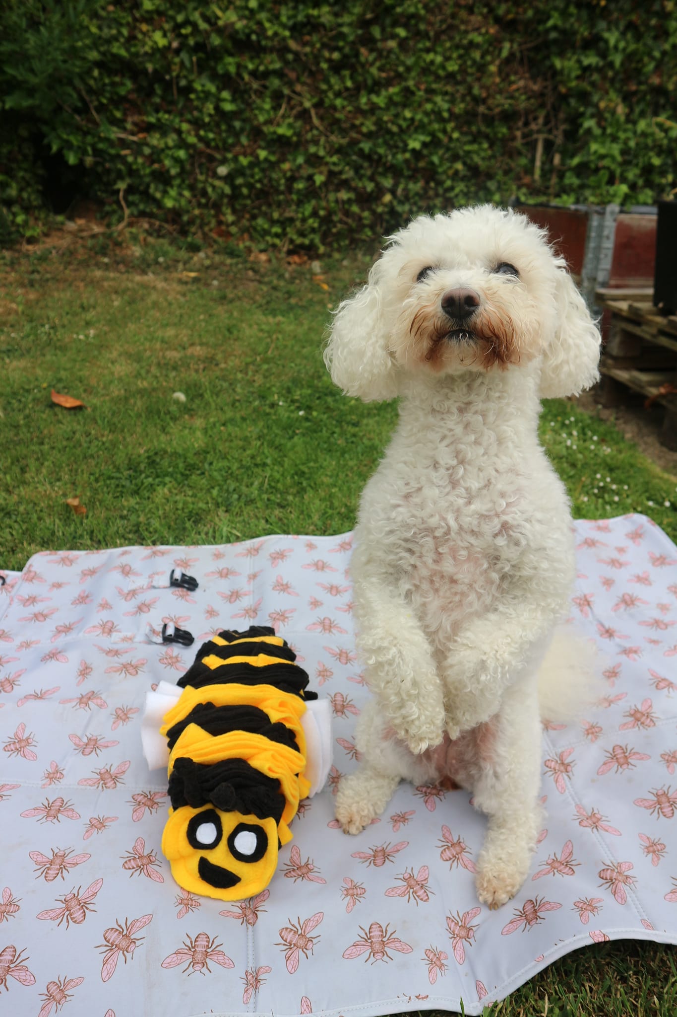 Bumble Buzzle Available In 2 Sizes (Free Postage)