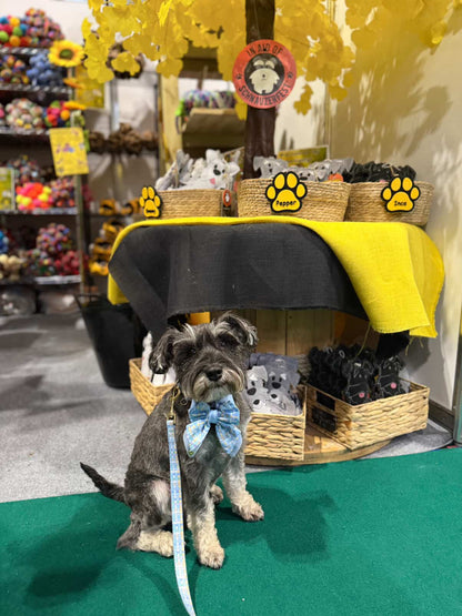 The Schnauzer Collection