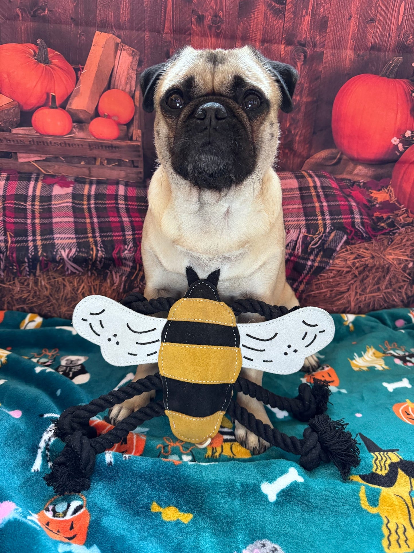 Bessie Bee (Free Postage)