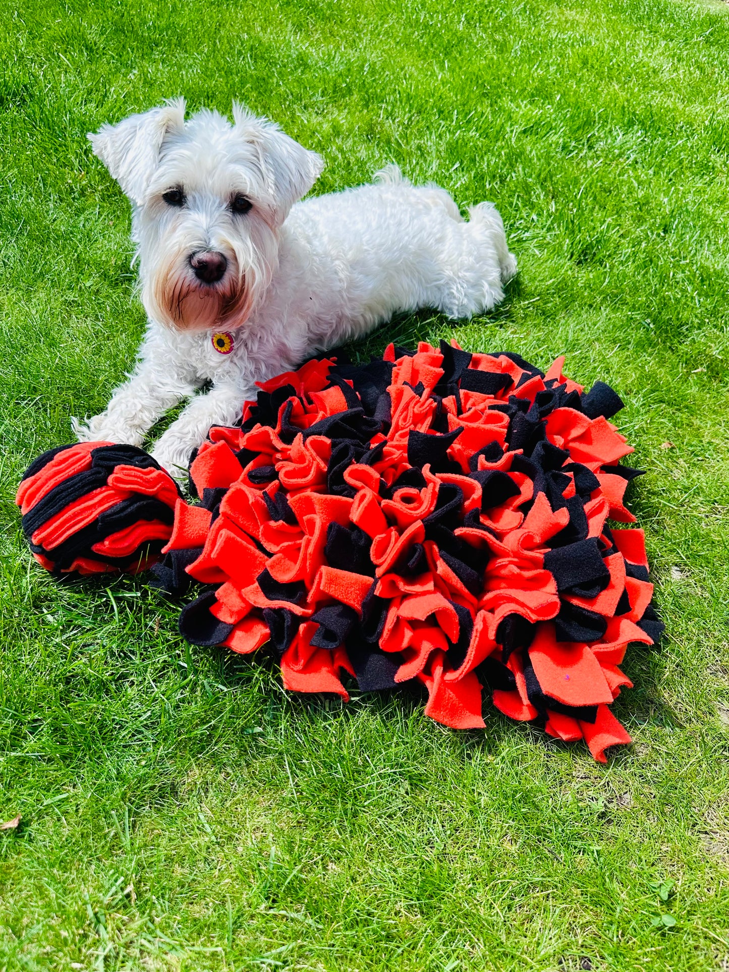 Schnauzerfest Snuffle Mat & Snuffle Ball Set, 4 size options available. (15% of this order will be donated to the Schnauzerfest charity)