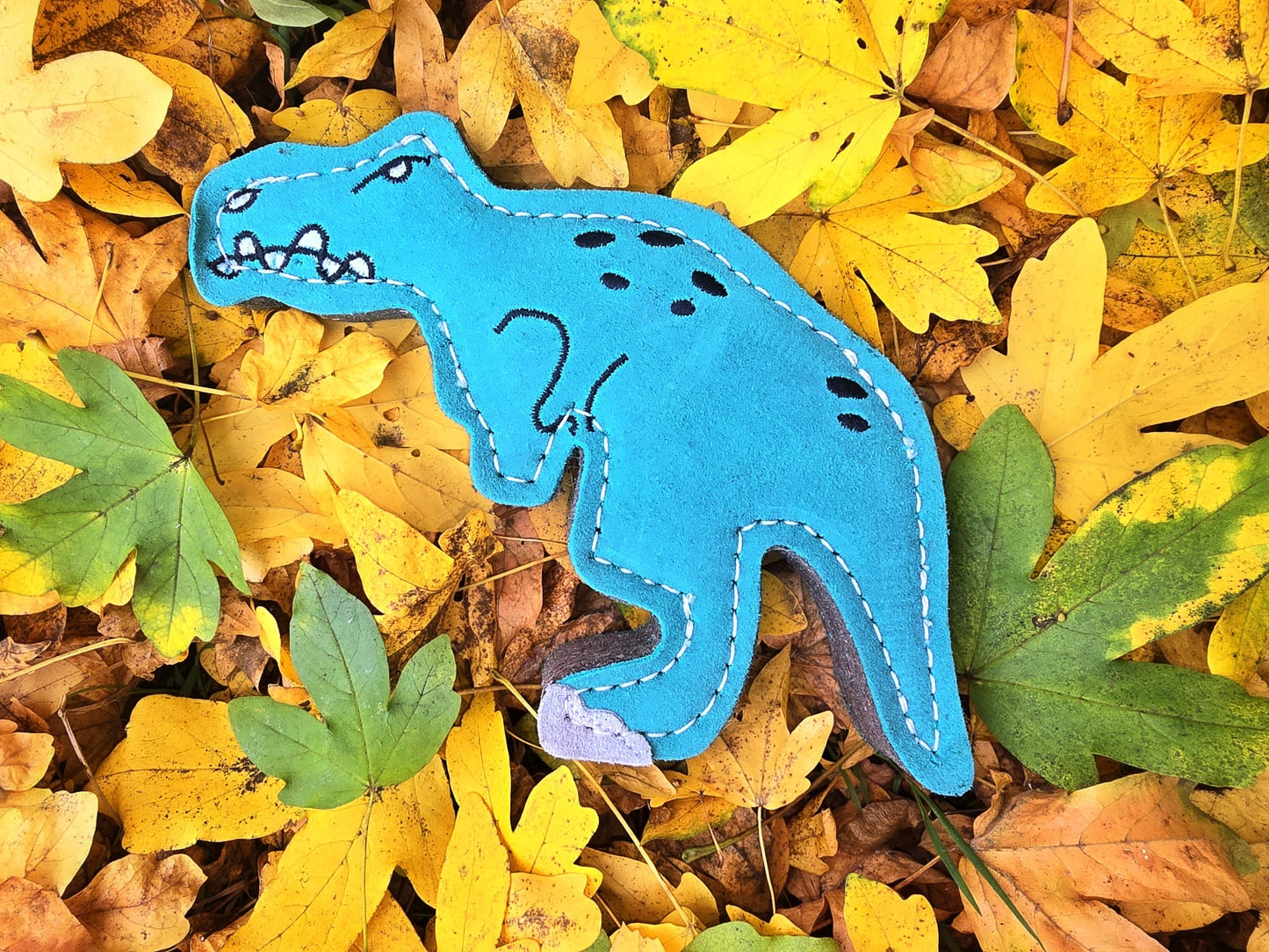 Terry T-Rex  (Free Postage)