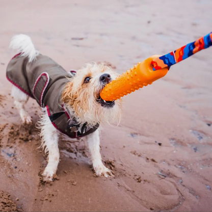 BOB The Dummy 3 in 1 Fetch, Tug & Float, Tug-E-Nuff Range