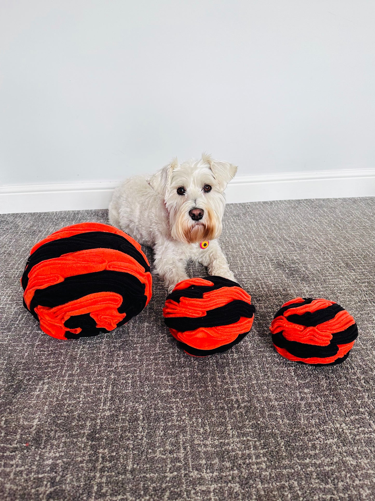 Schnauzerfest  Snuffle Ball available in 3 sizes (15% of this order will be donated to the Schnauzerfest charity)