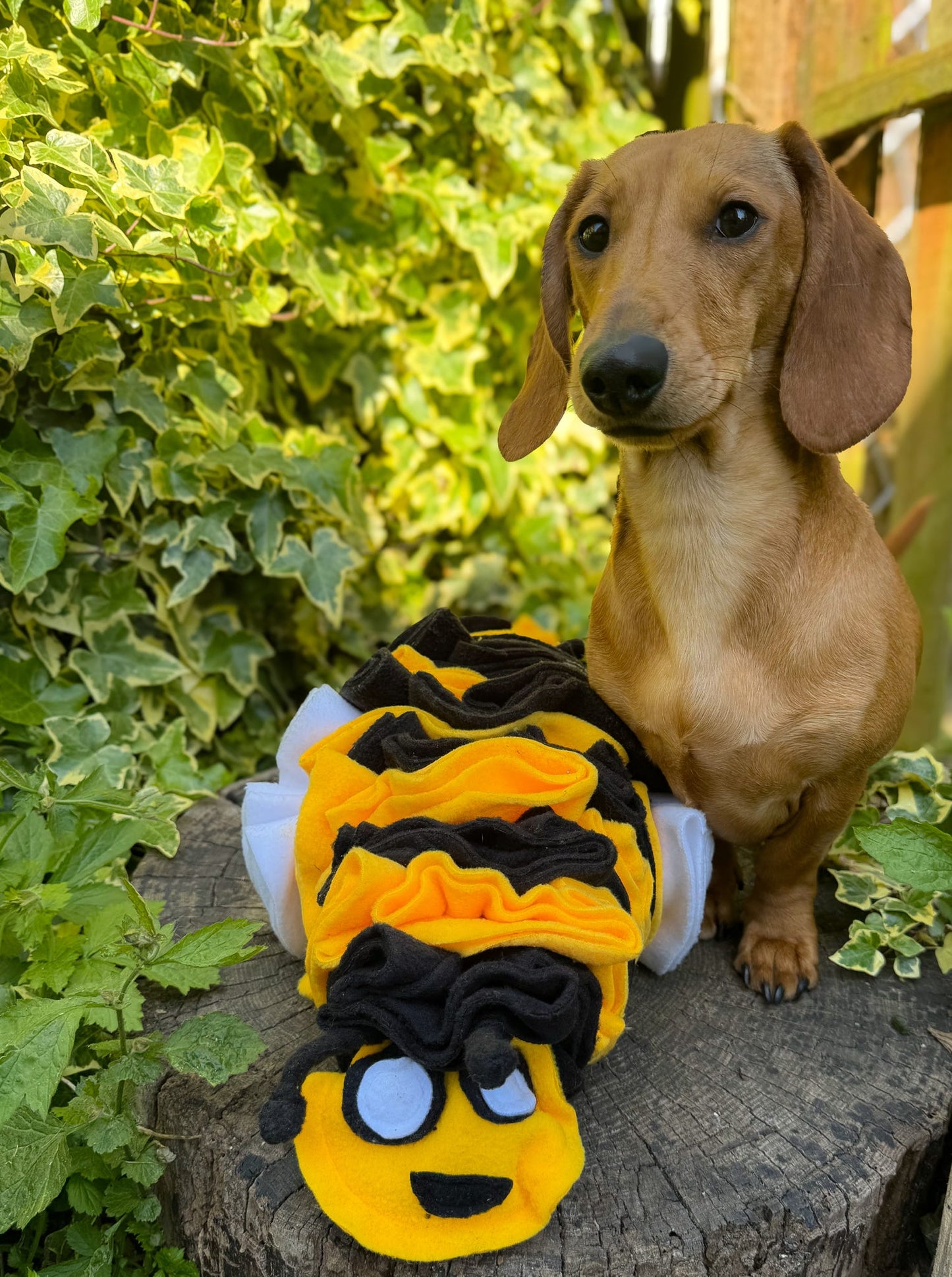 Bumble Buzzle Available In 2 Sizes (Free Postage)