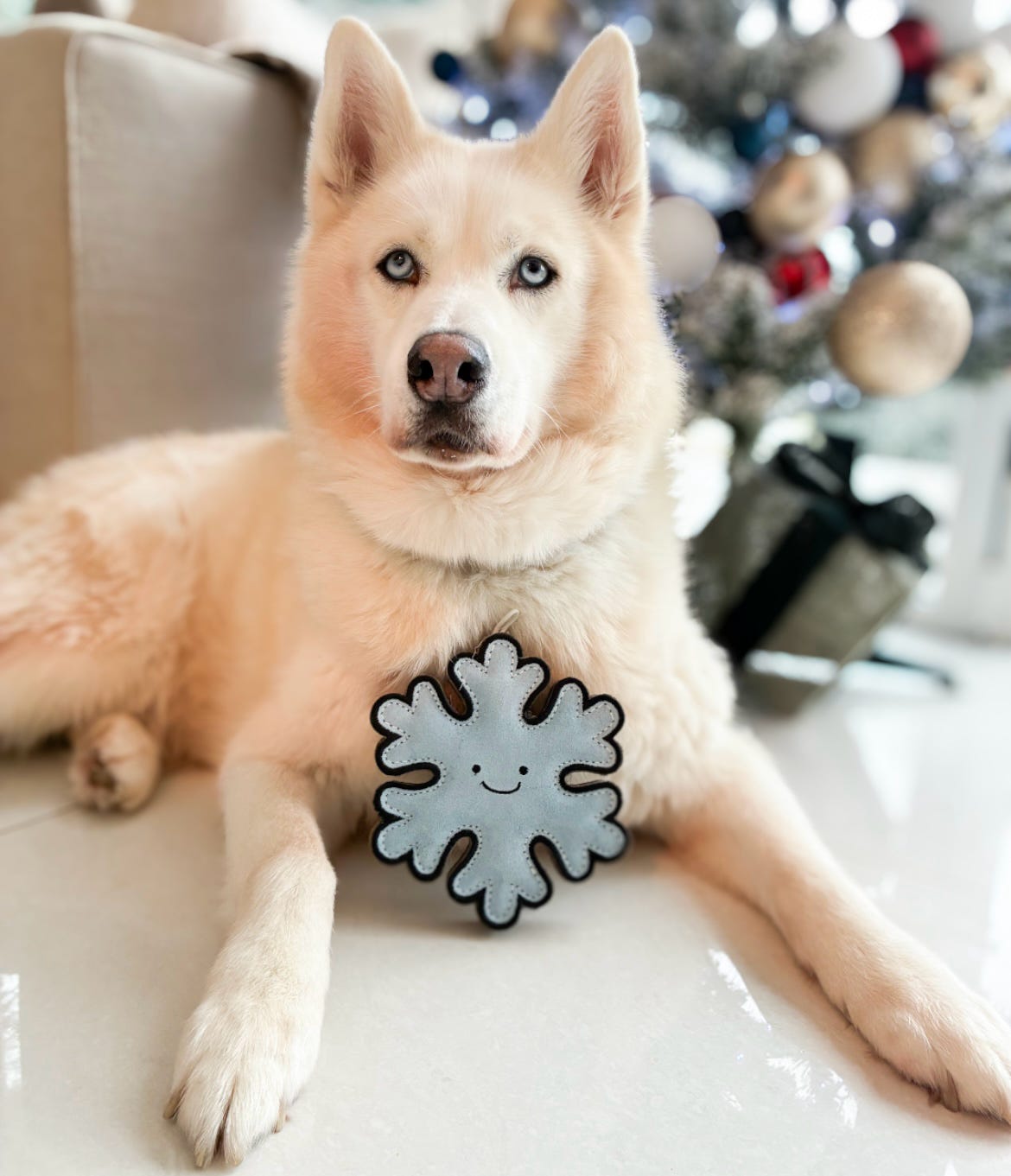 Flakey The Snowflake (Free Postage)