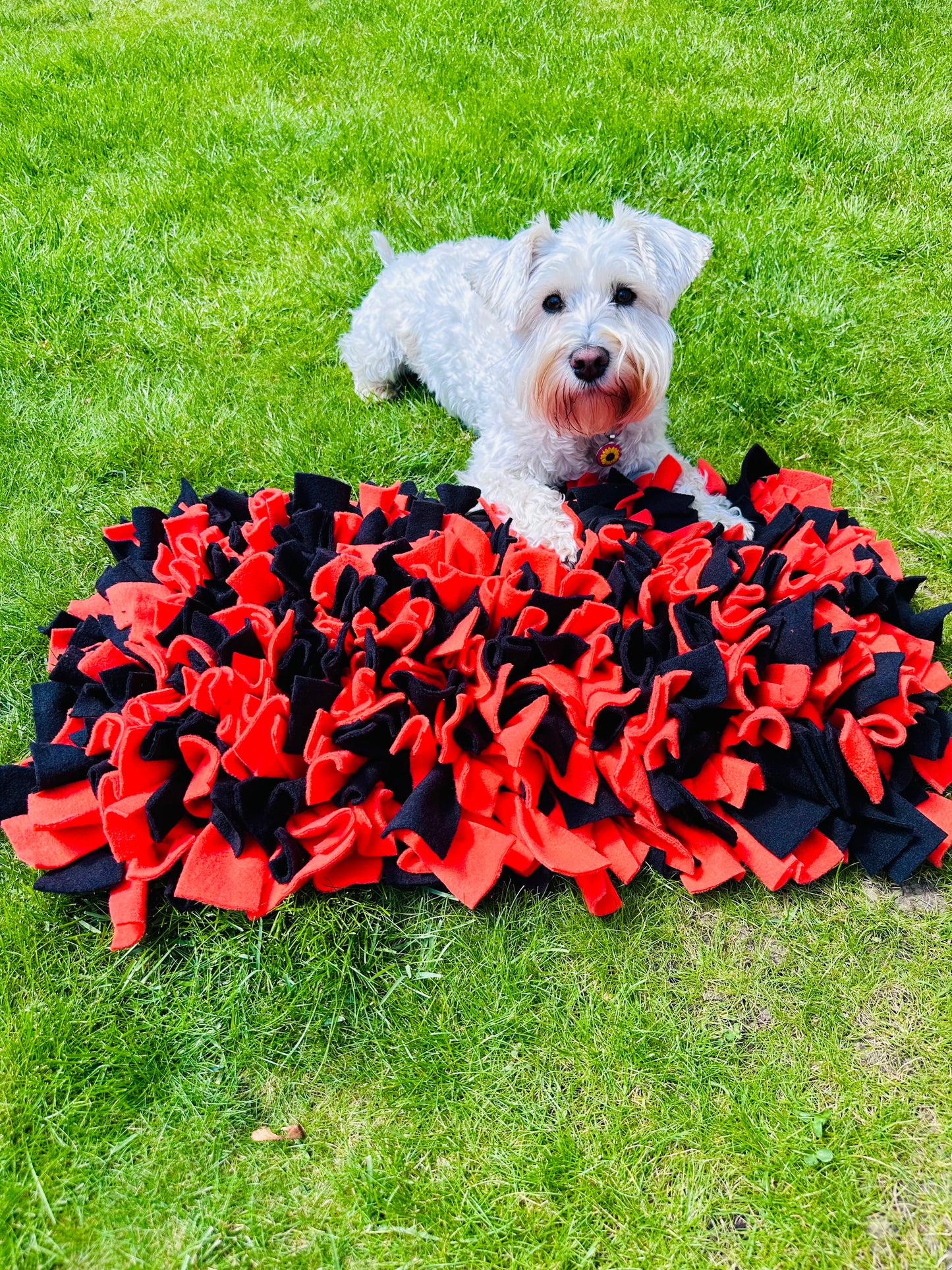 Schnauzerfest Snuffle Mat, Available in 3 sizes  (15% of this order will be donated to the Schnauzerfest charity)