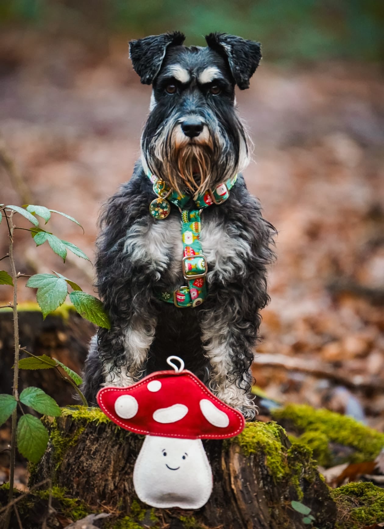 Marie Mushroom(Free Postage)