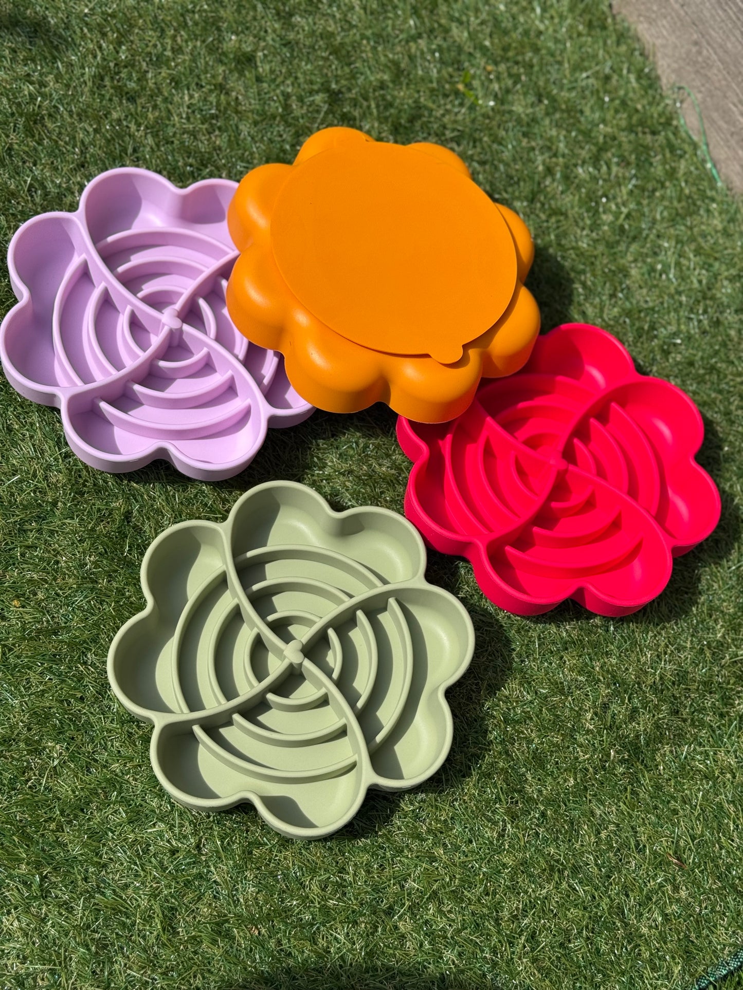 Spiral Bloom Enrichment Bowl (Free Postage)