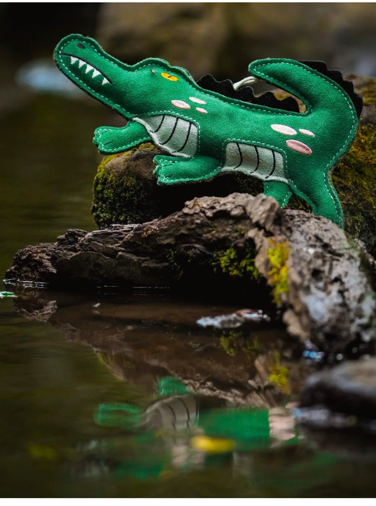 Clive The Crocodile