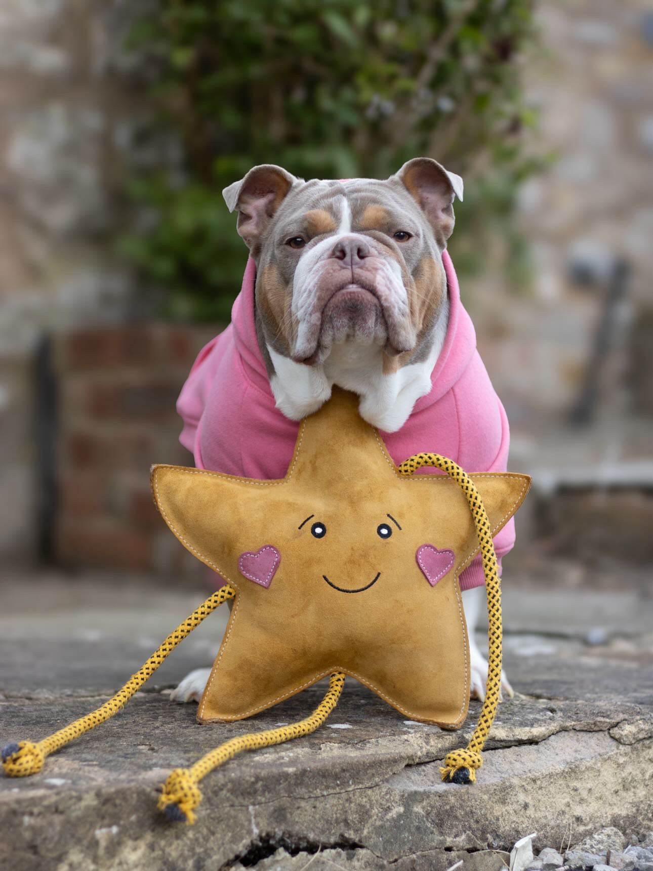 Aurora The XL Star (Free Postage)