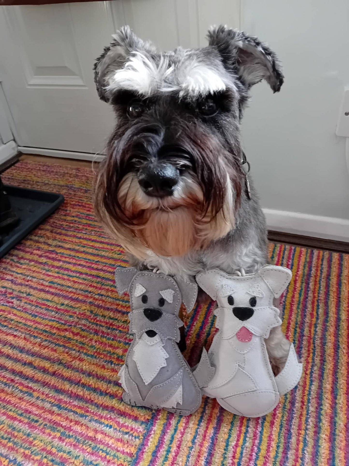 The Schnauzer Collection