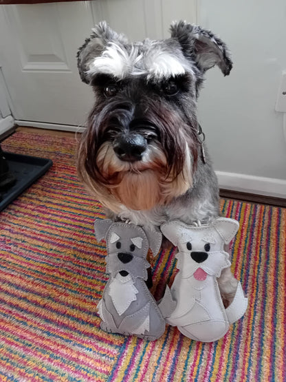 The Schnauzer Collection