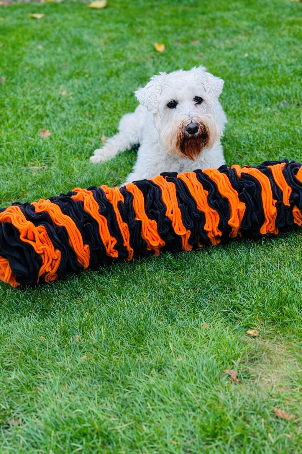 Schnauzerfest Pocket Puzzle, Available In 3 Sizes (15% Of This Order Will Be Donated To The Schnauzerfest Charity)