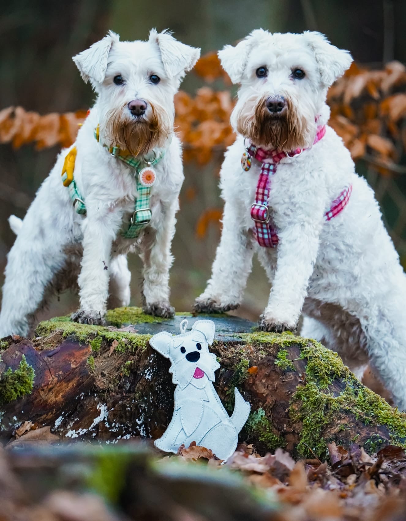 The Schnauzer Collection – Snufflesshop