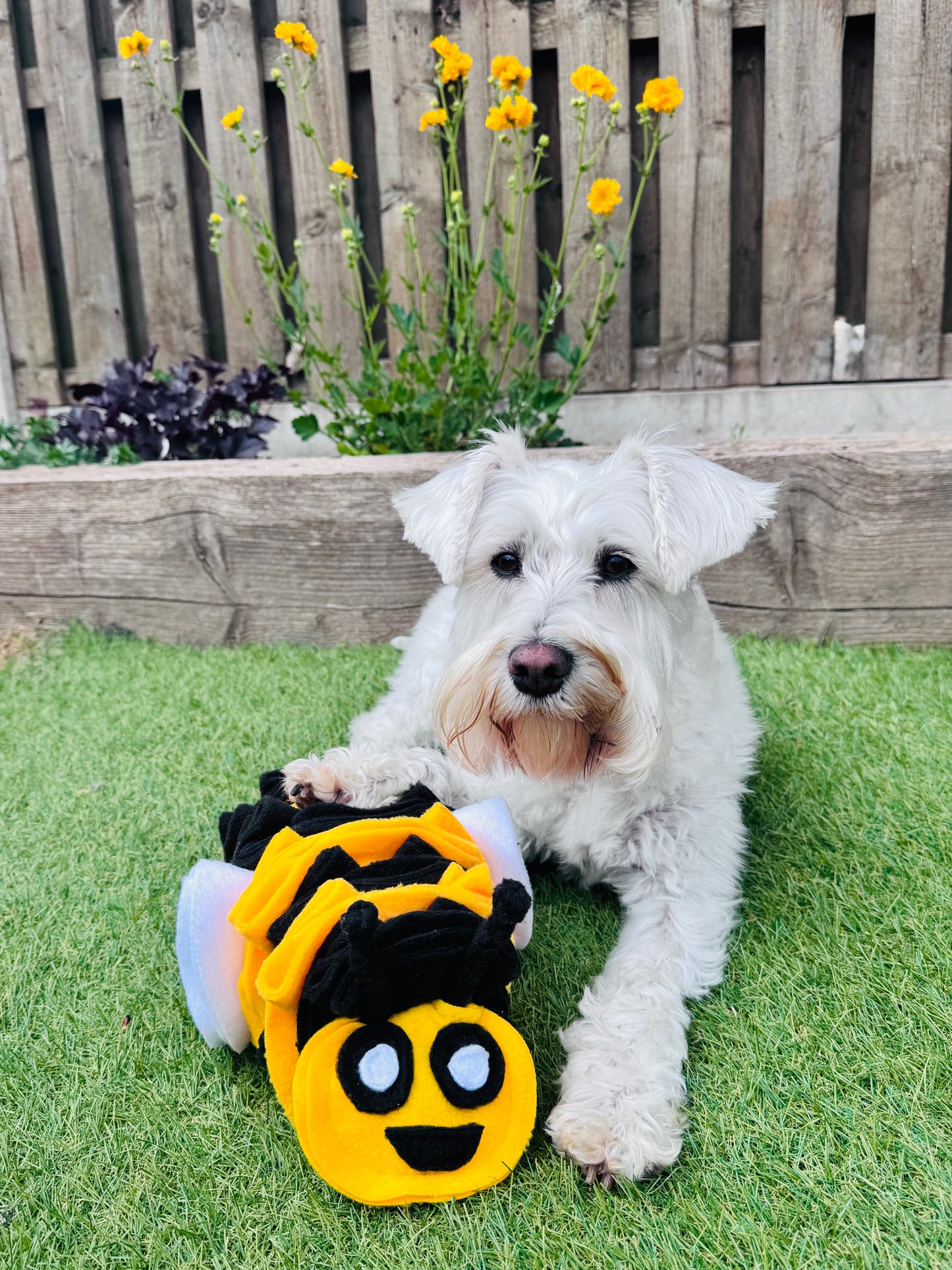 Bumble Buzzle Available In 2 Sizes (Free Postage)