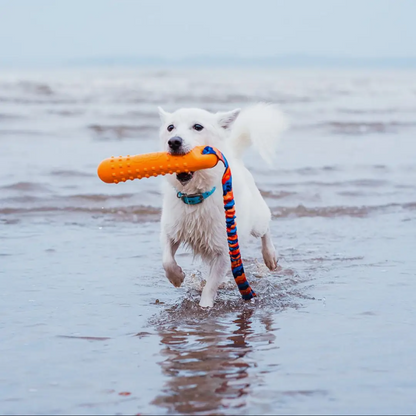 BOB The Dummy 3 in 1 Fetch, Tug & Float, Tug-E-Nuff Range