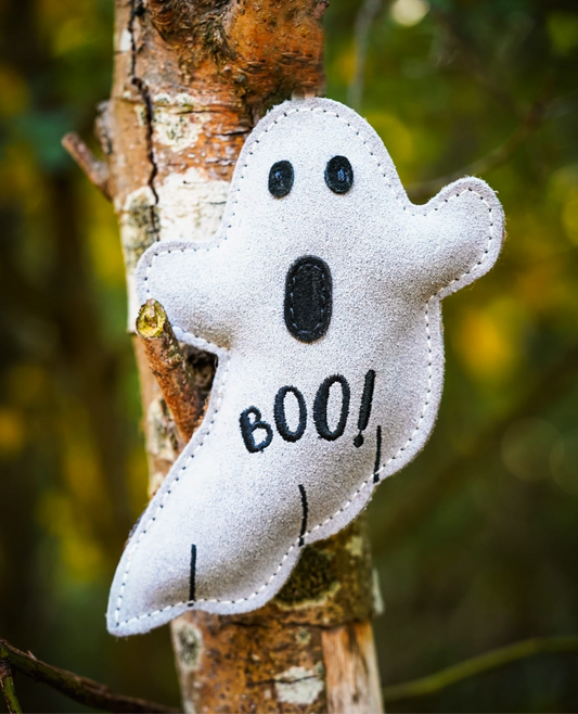 Boo Paul (Free Postage)