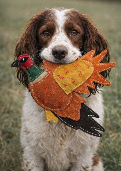 Bracken The Pheasant