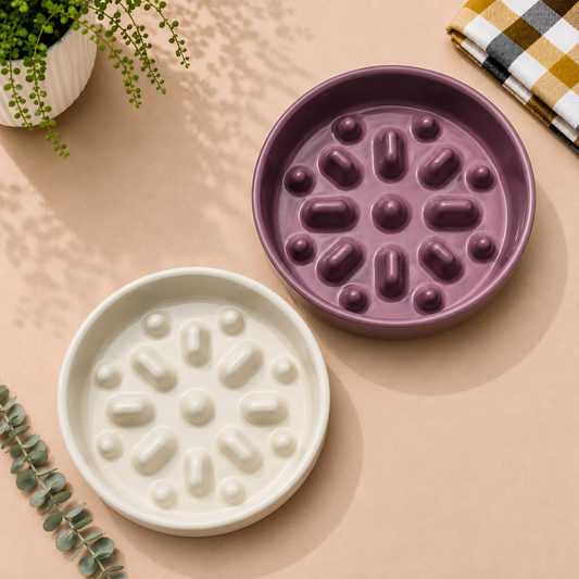 Ceramic Dotted Delight Slow Feeder Bowl