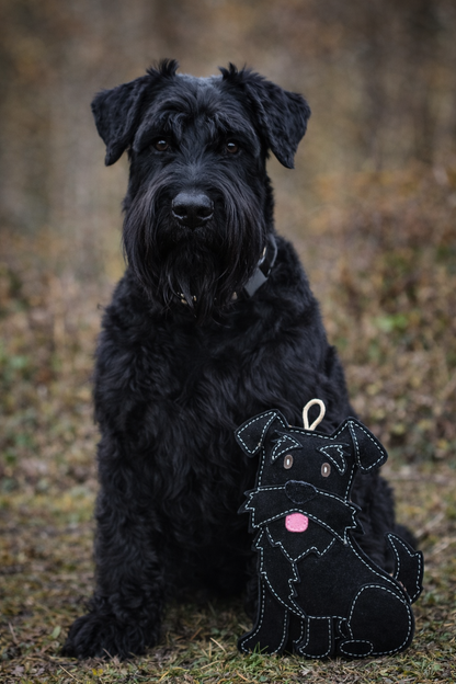 The Schnauzer Collection