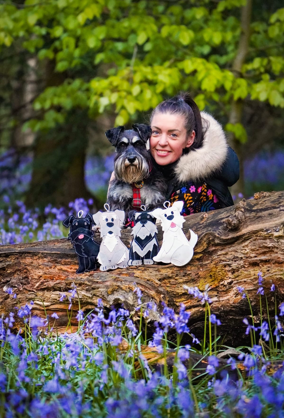 The Schnauzer Collection
