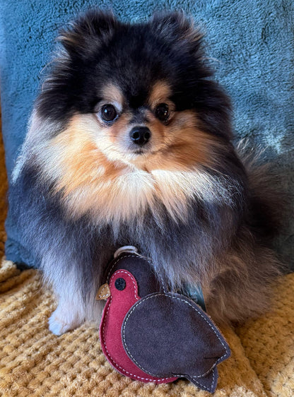 Rodney The Robin (Free Postage)