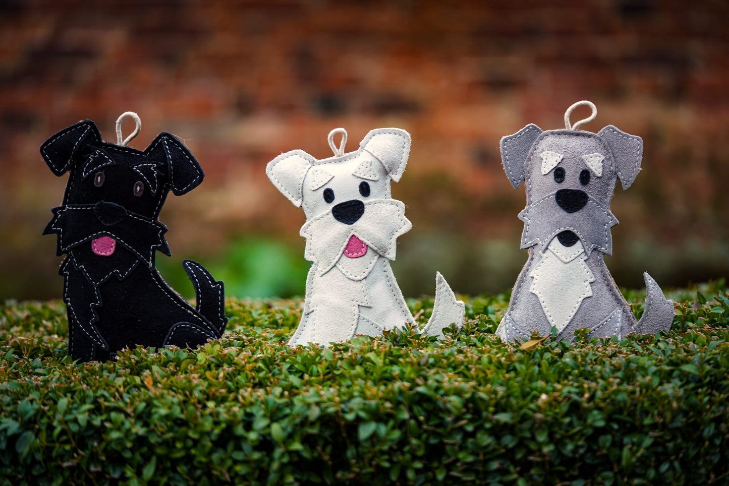 The Schnauzer Collection