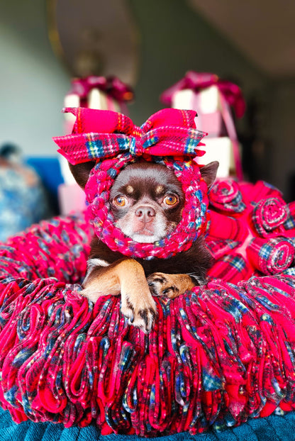 Festive Wreath Dog Tug 3 Sizes Available (Free Postage)