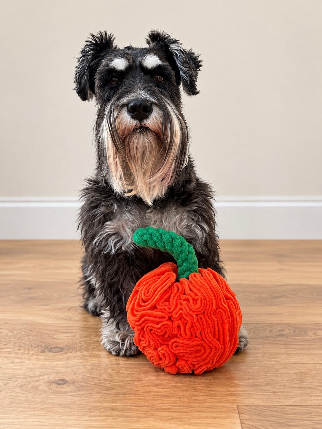 Pumpkin Snuffle Ball (2 Sizes Available)