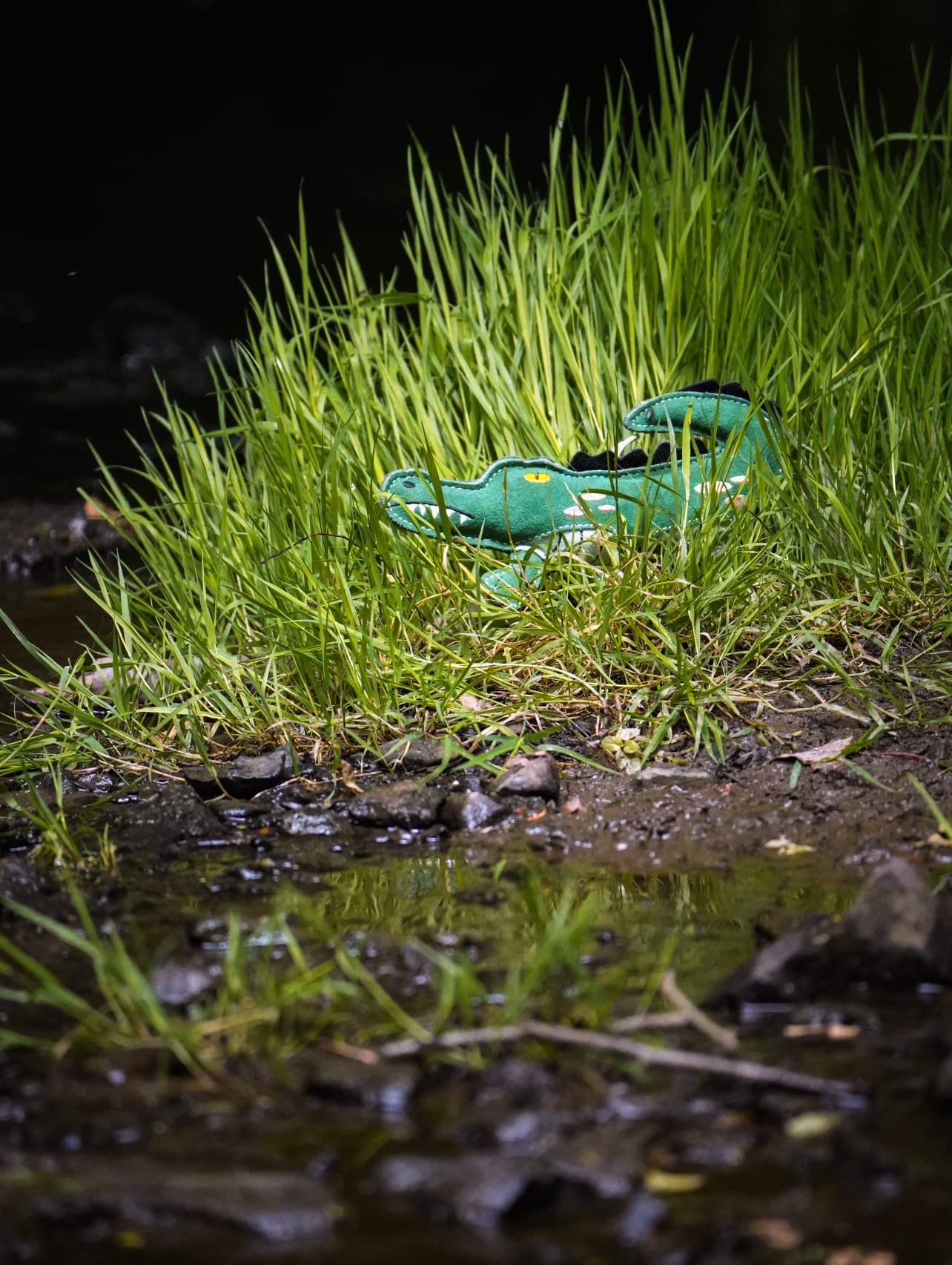 Clive The Crocodile