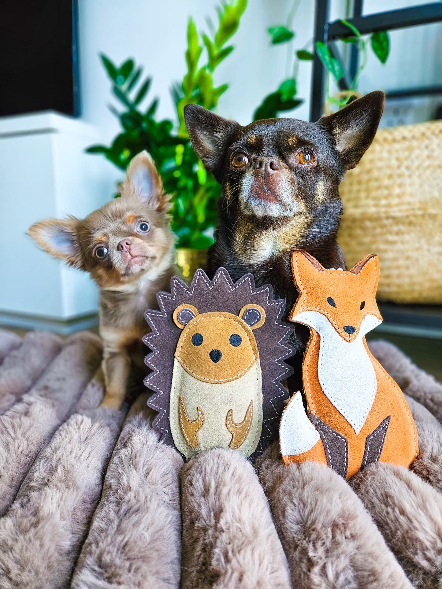 Bramble The Hedgehog (Cat Nip Infused)