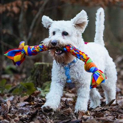 Dog Tugs 3 Sizes Available