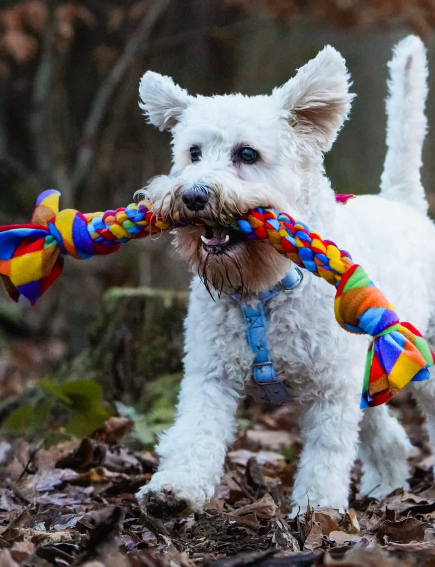 Dog Tugs 3 Sizes Available