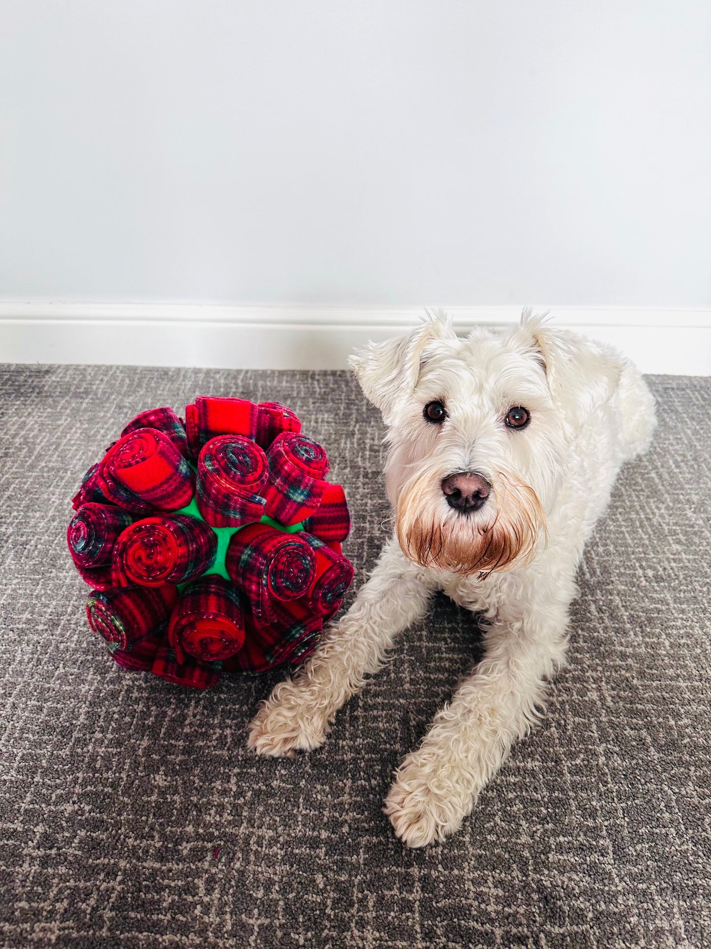 Christmas Snuffle Cage Ball (Free Postage)