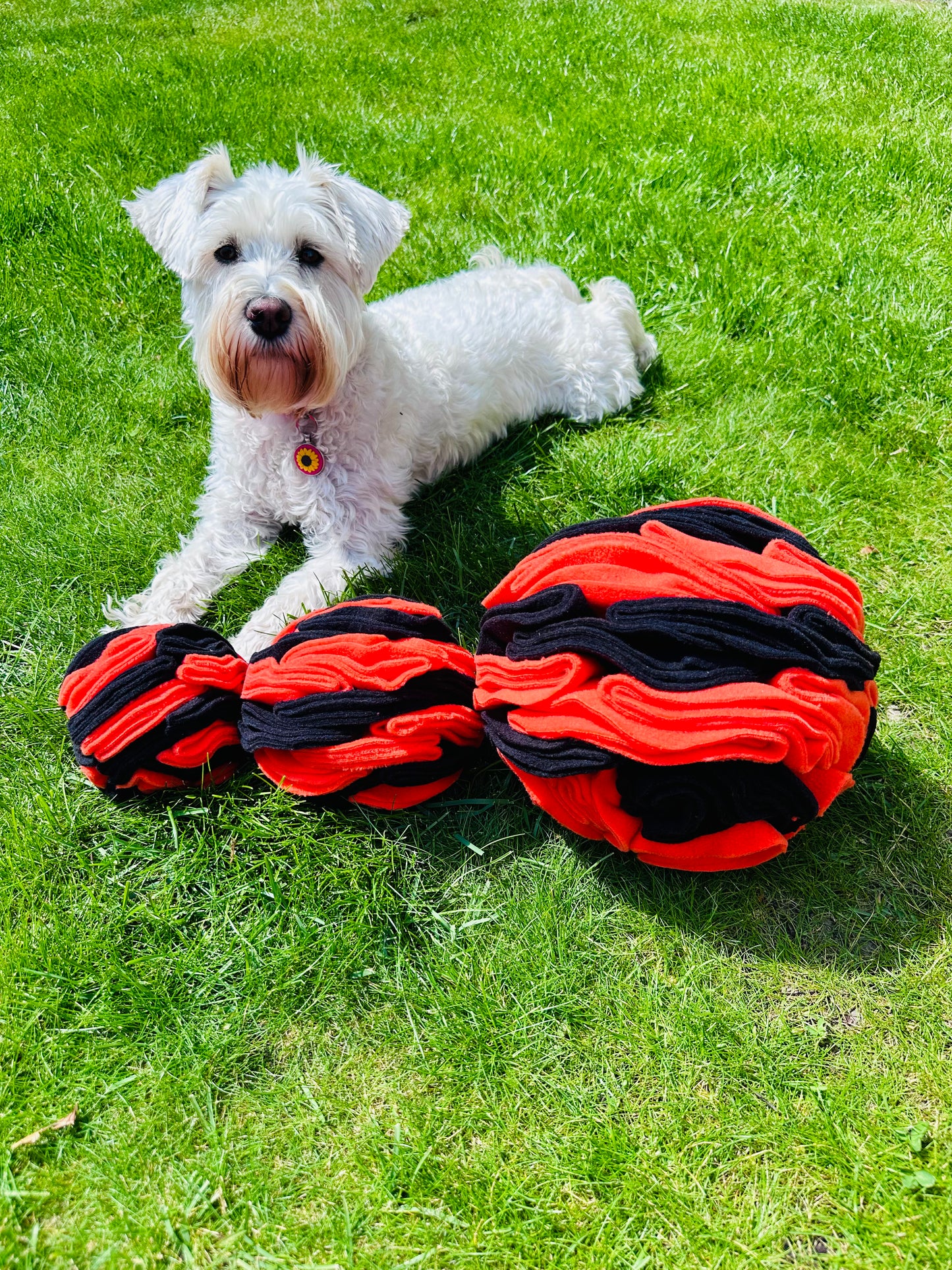 Schnauzerfest  Snuffle Ball available in 3 sizes (15% of this order will be donated to the Schnauzerfest charity)