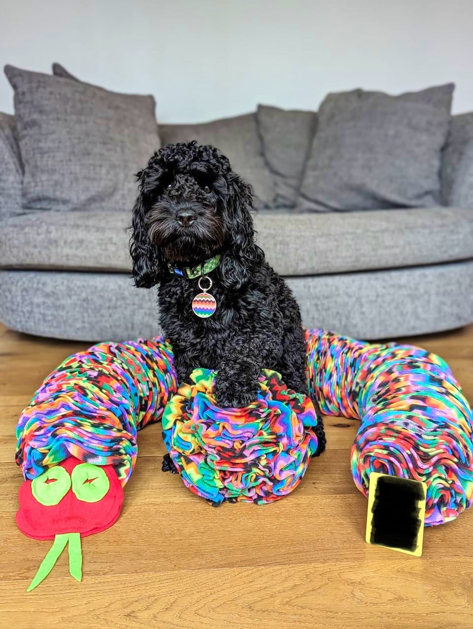 Large Snuffle Ball (Free Postage)