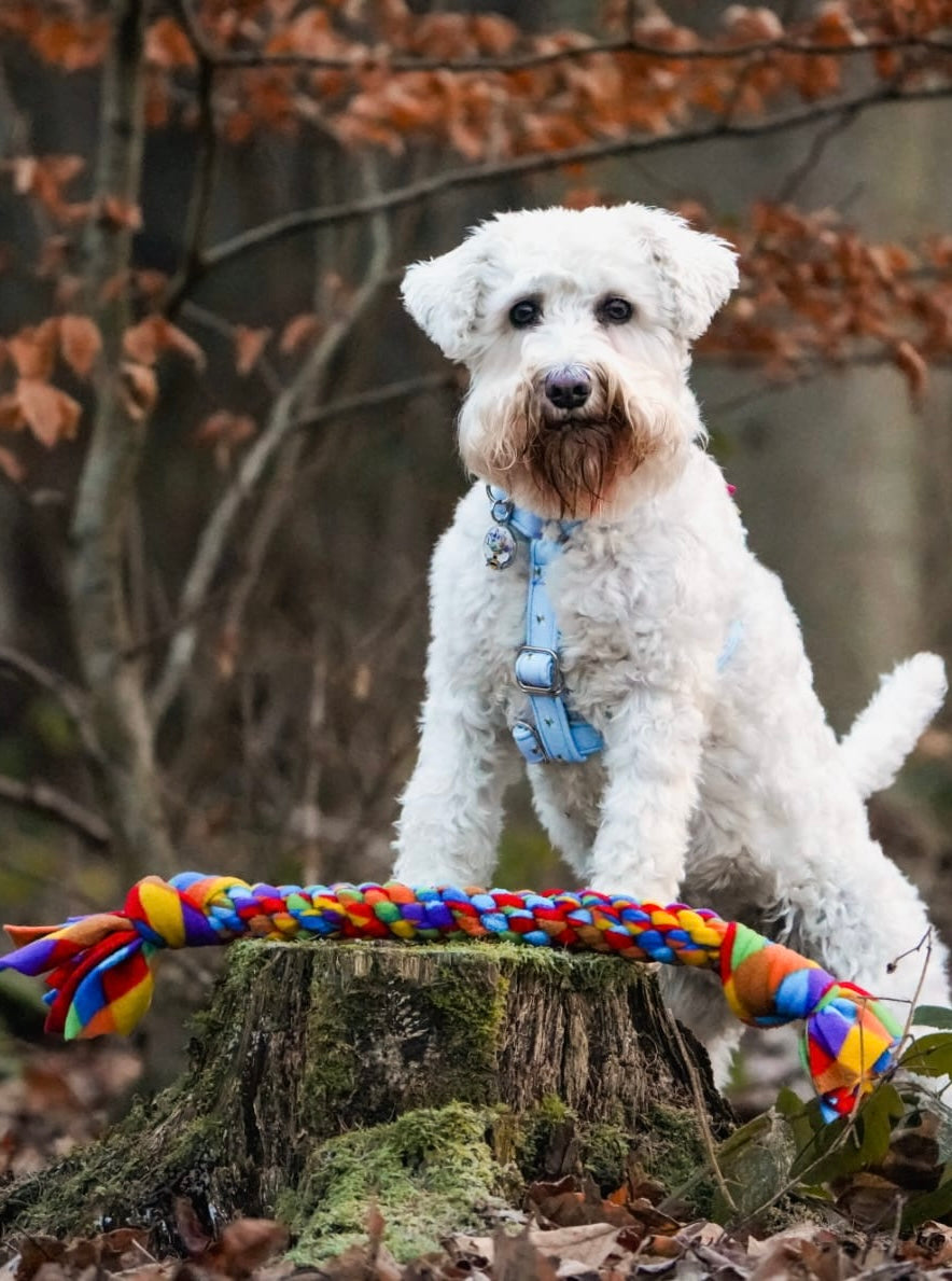 Dog Tugs 3 Sizes Available