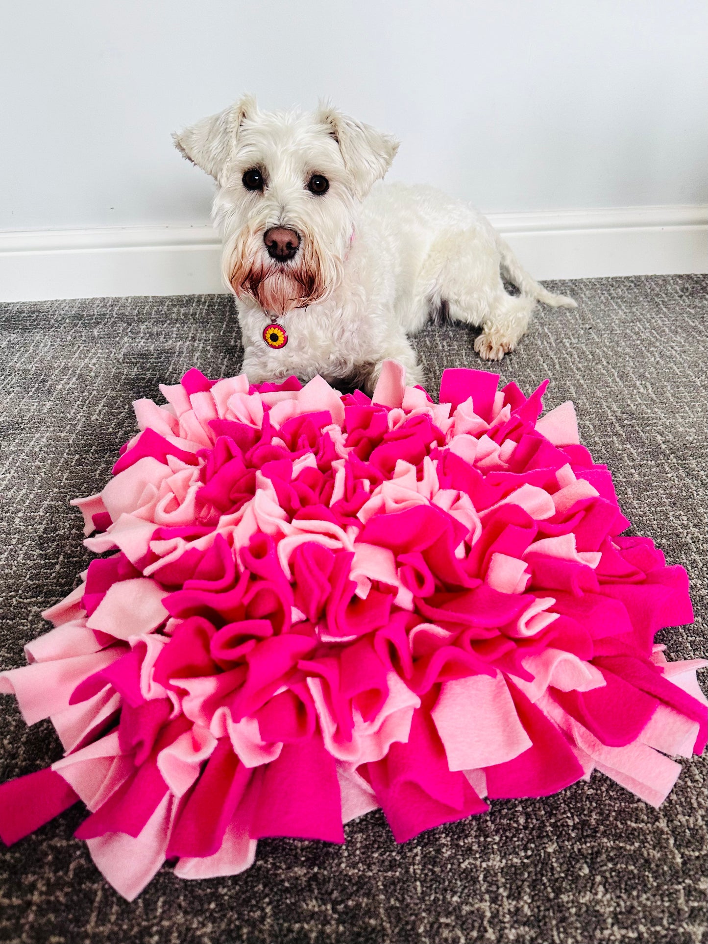 Spring Snuffle Mat Custom Made Standard Snuffle Mat – Snufflesshop