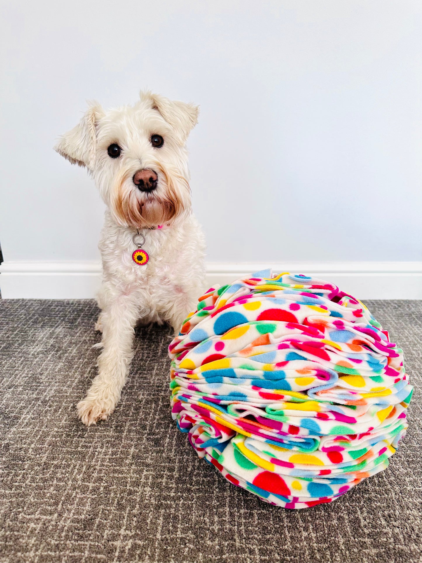 Extra Large Snuffle Ball (Free Postage)