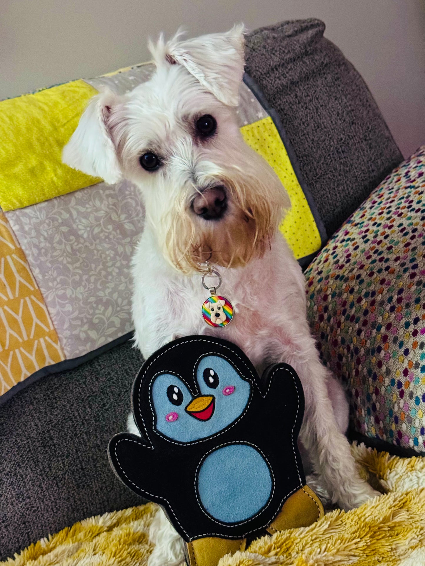 Poppy The Penguin (Free Postage)