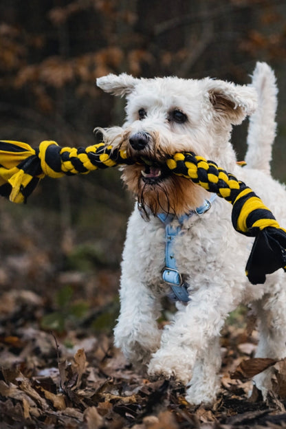 Custom Coloured Dog Tugs 3 Sizes Available