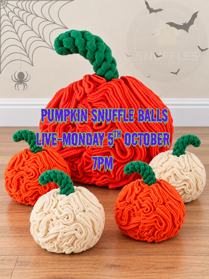 Pumpkin Snuffle Ball (2 Sizes Available)