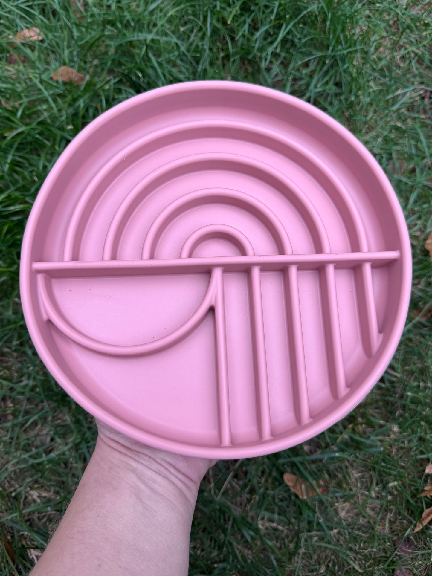 Rainbow Style Enrichment Bowl