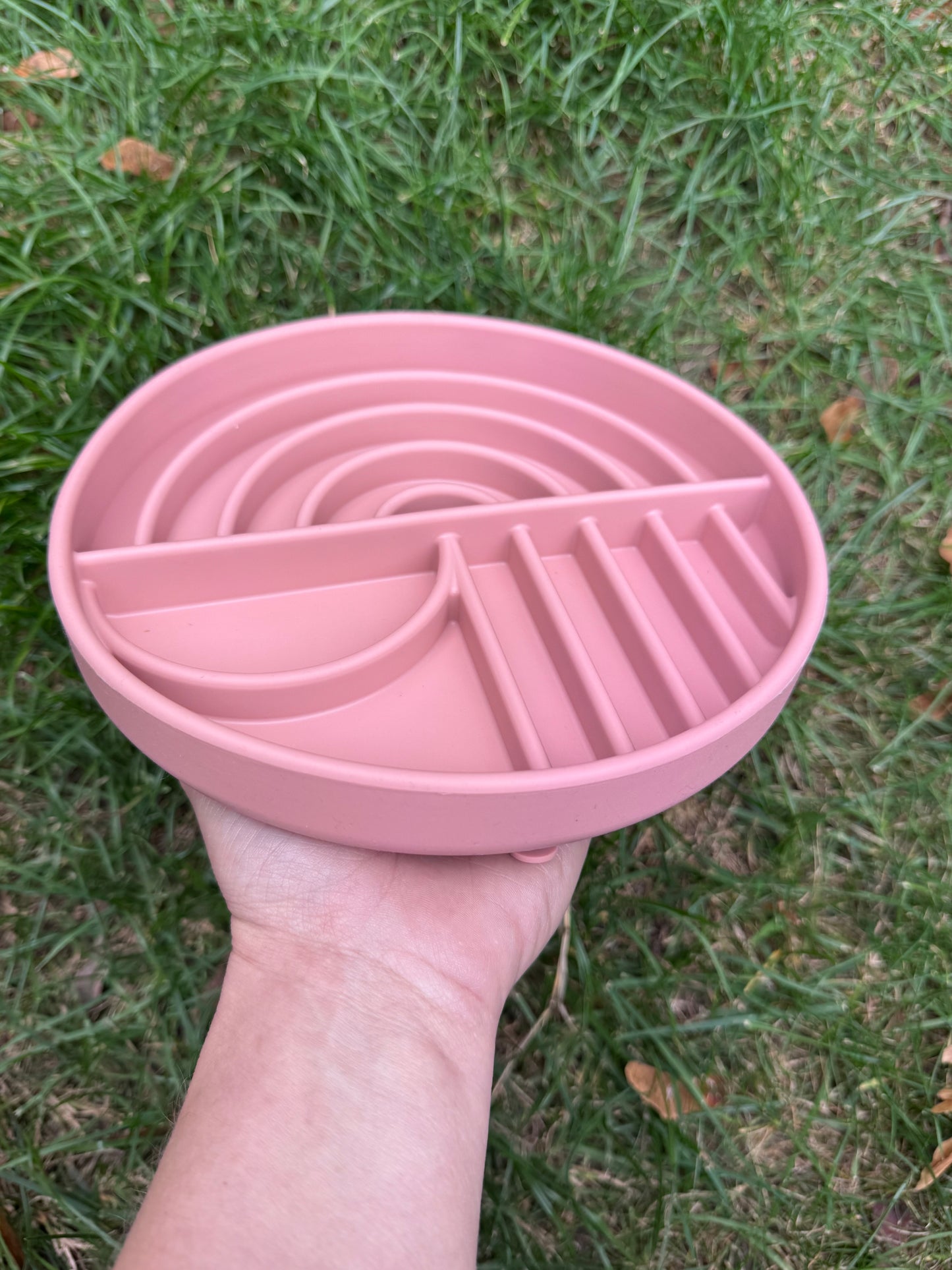 Rainbow Style Enrichment Bowl