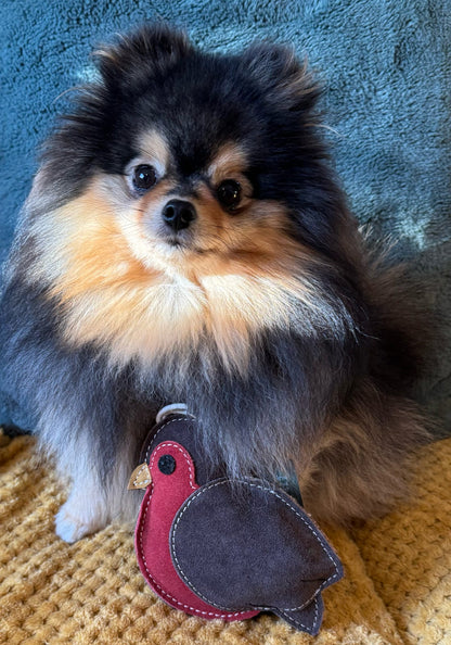 Rodney The Robin (Free Postage)